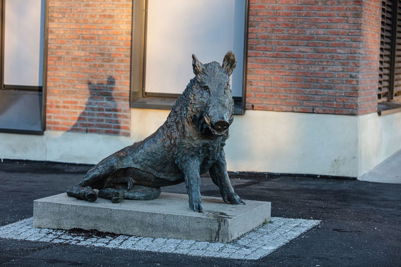 Foto: Even Hjartholm Villivillsvin