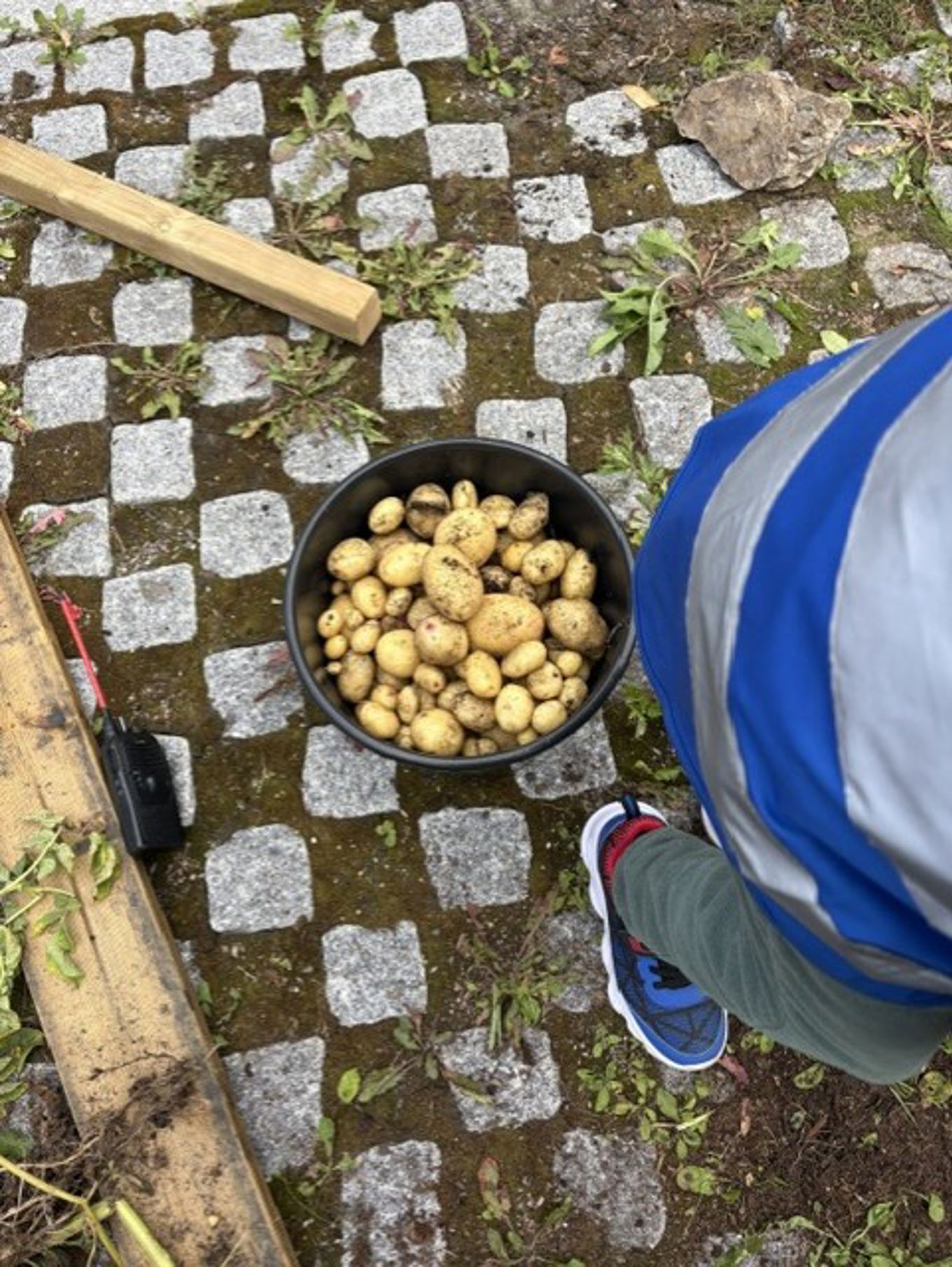 En person som står ved siden av en *** poteter