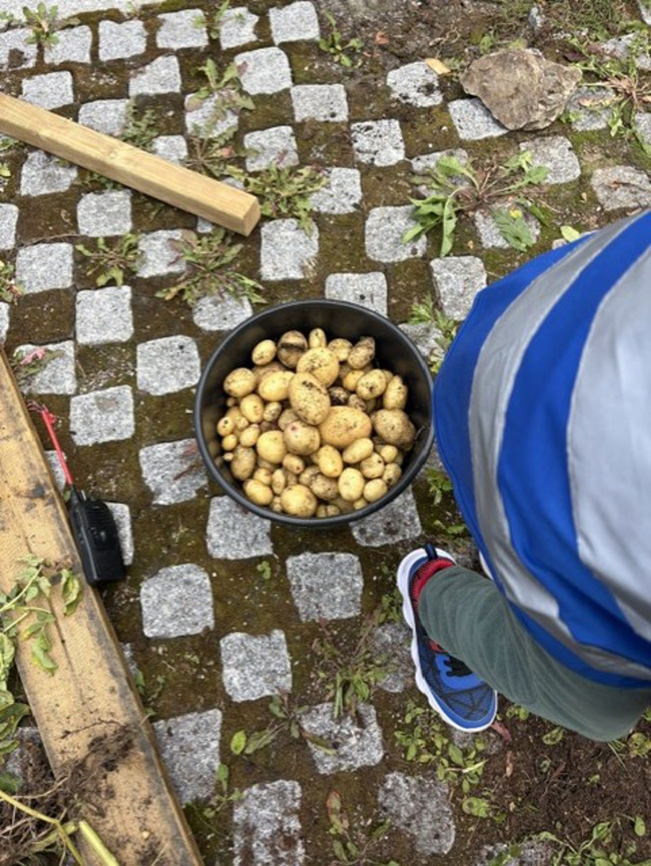 En person som står ved siden av en *** poteter En person som står ved siden av en *** poteter