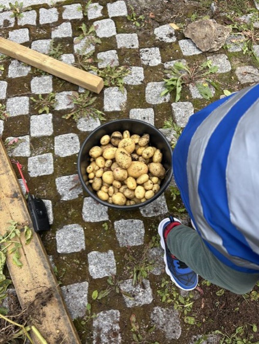 En person som står ved siden av en *** poteter En person som står ved siden av en *** poteter