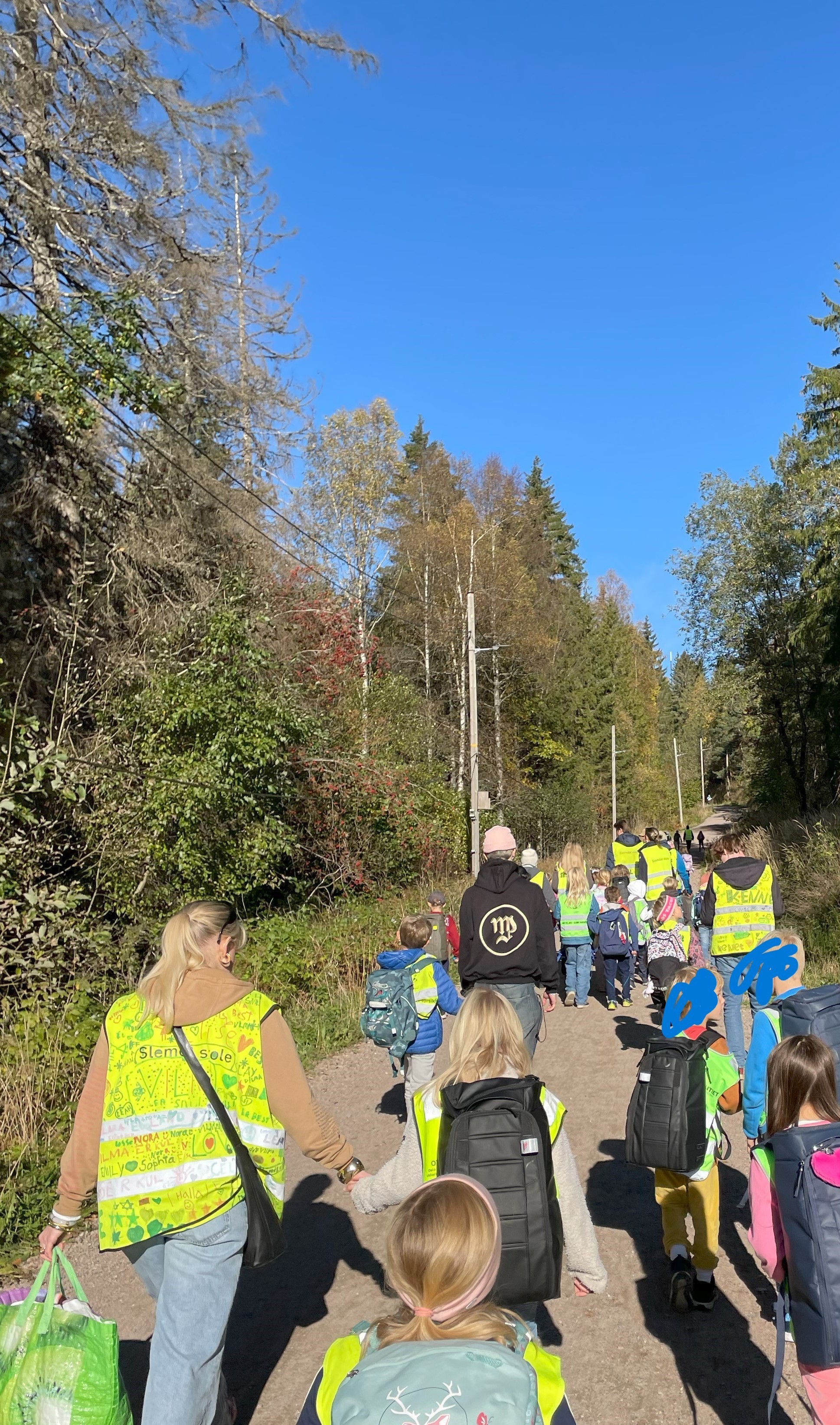 en gruppe mennesker som går på en sti med trær på hver side